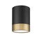 Z-Lite Algar Flush Mount, 1-Light, 6 In.W x 8 In.H, Matte Black + Modern Gold/Frosted 1006F6-MB-MGLD-LED - alternate 6